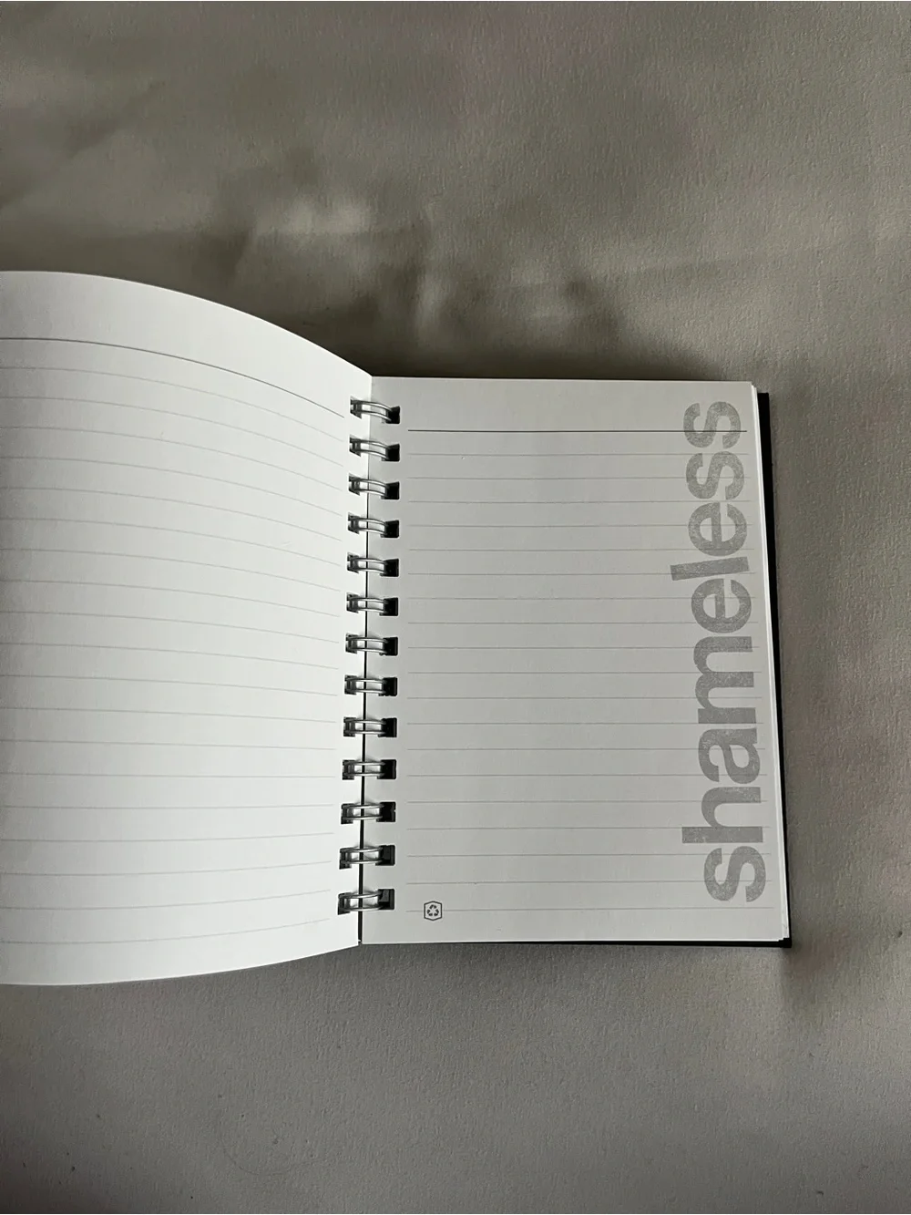 Notebook shameless silver